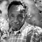 Billet-vert : Greenpeace assiège la bioraffinerie de Total à Mède