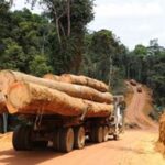 Ngaoundéré 3ème, le nid de l’insalubrité