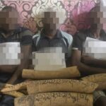 Ogooué-Lolo : Arrestation d’un présumé trafiquant d’ivoire à Lastourville