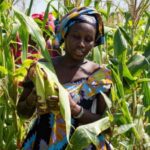 Gabon/Ouverture des travaux de la 15e réunion de l’équipe multidisciplinaire du bureau sous-régional de la FAO pour l’Afrique centrale