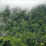 Inondation : Les causes humaines aggravent la crise climatique